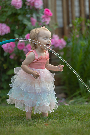 Tatey Bear  meets the Water Hose