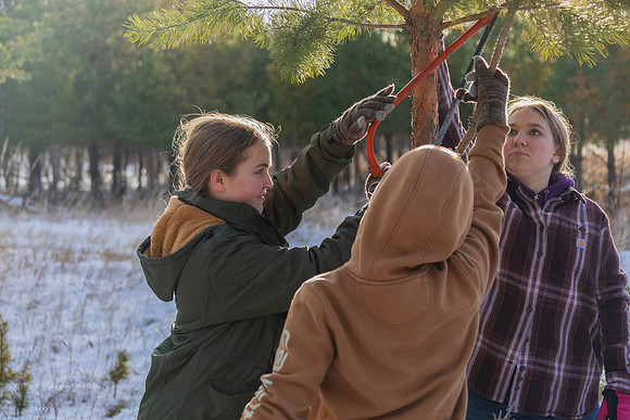 2024 Christmas Tree Hunt