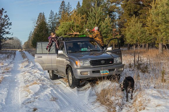 2024 Christmas Tree Hunt