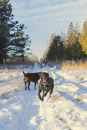 2024 Christmas Tree Hunt
