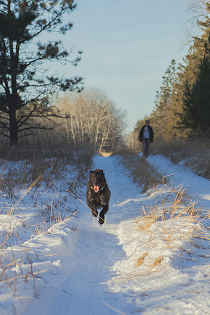 2024 Christmas Tree Hunt