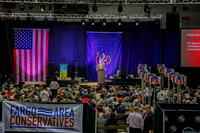 241 Ink NDGOP