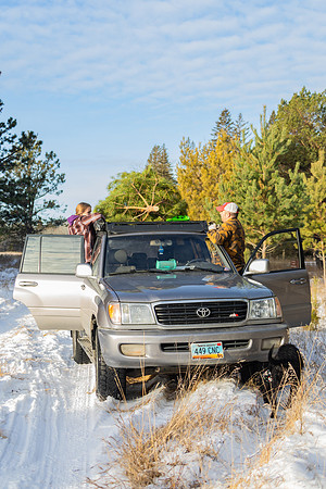 2024 Christmas Tree Hunt