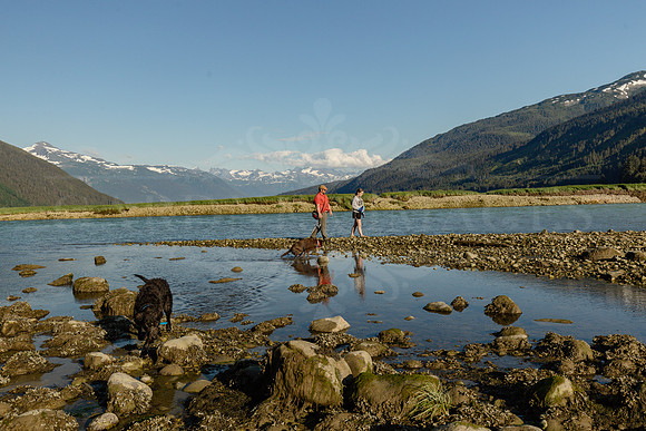 Arctic Adventure
