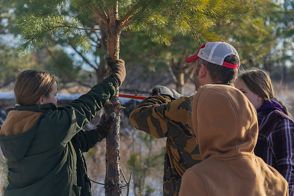 2024 Christmas Tree Hunt
