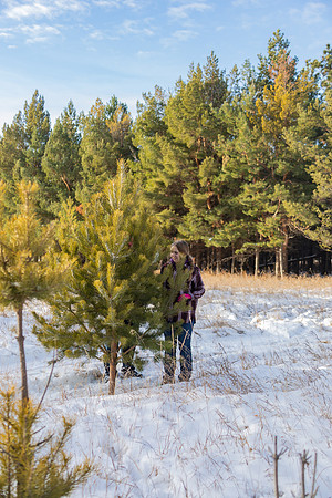 2024 Christmas Tree Hunt