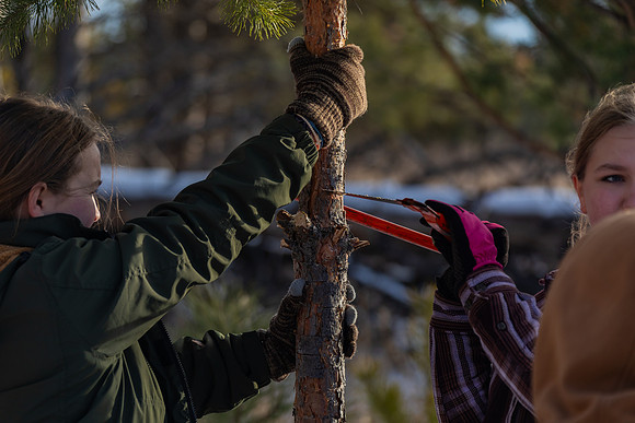 2024 Christmas Tree Hunt