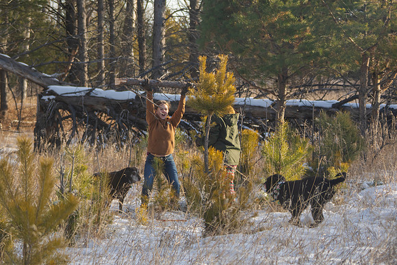 2024 Christmas Tree Hunt