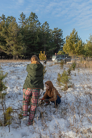 2024 Christmas Tree Hunt
