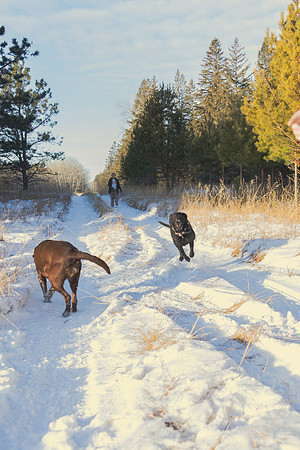 2024 Christmas Tree Hunt