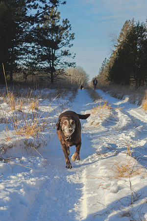2024 Christmas Tree Hunt