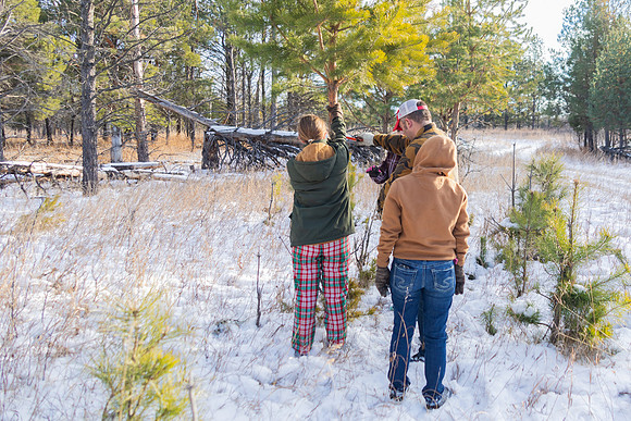 2024 Christmas Tree Hunt