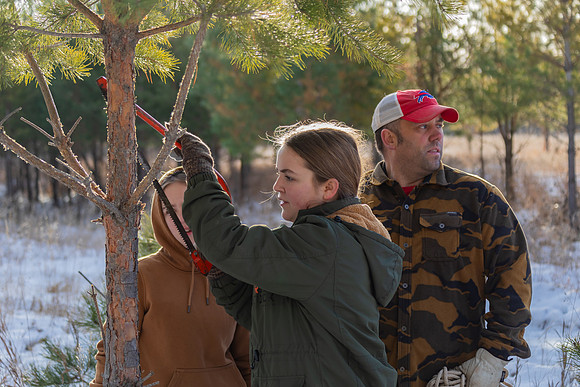 2024 Christmas Tree Hunt