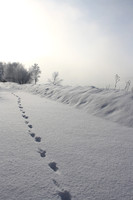 Personal- Landscapes