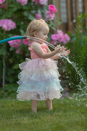 Tatey Bear  meets the Water Hose