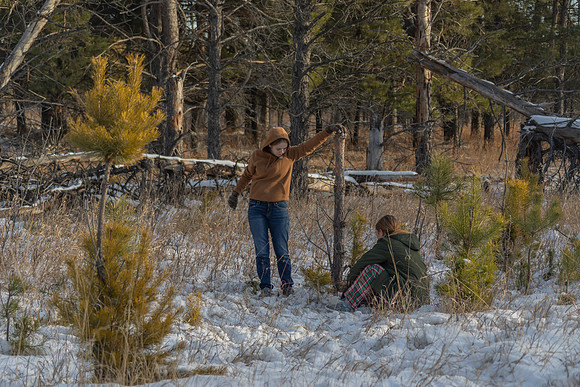 2024 Christmas Tree Hunt