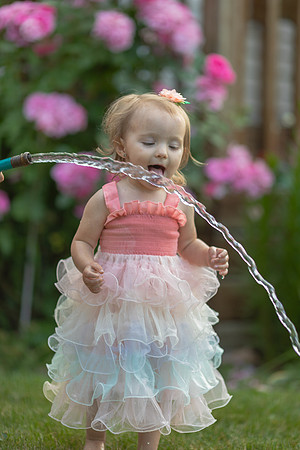 Tatey Bear  meets the Water Hose
