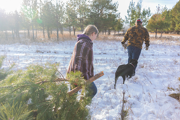 2024 Christmas Tree Hunt