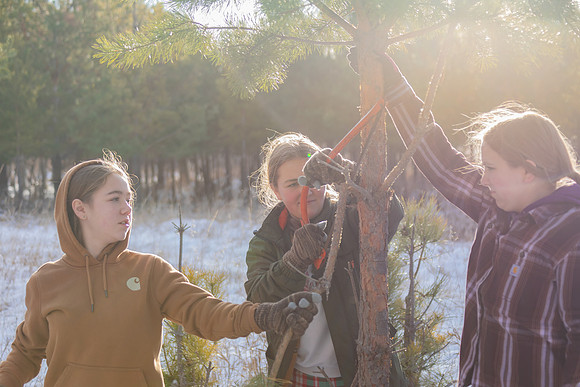 2024 Christmas Tree Hunt