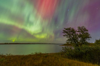 Night Sky