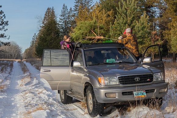 2024 Christmas Tree Hunt
