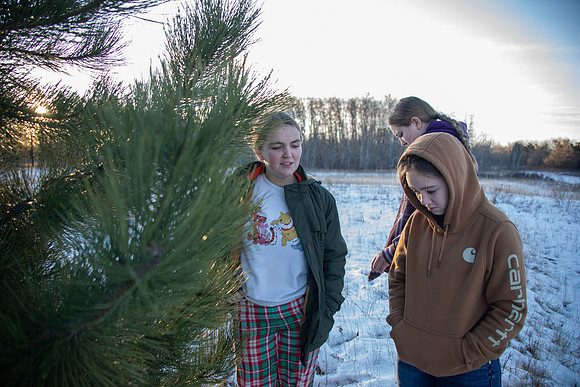 2024 Christmas Tree Hunt