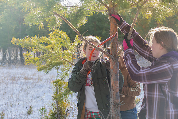 2024 Christmas Tree Hunt
