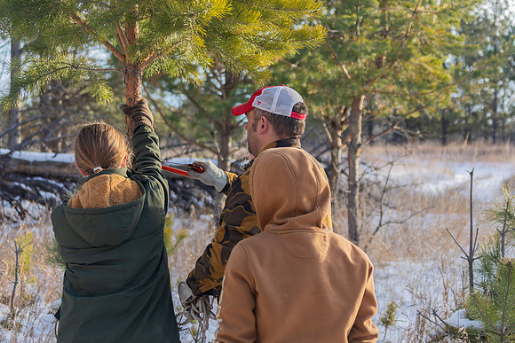 2024 Christmas Tree Hunt