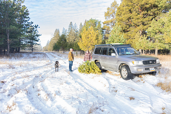 2024 Christmas Tree Hunt