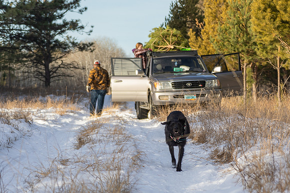 2024 Christmas Tree Hunt