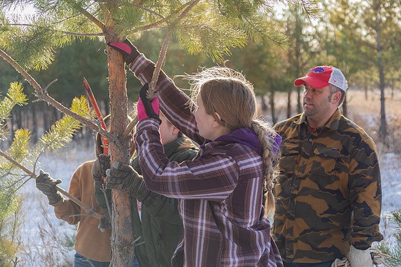2024 Christmas Tree Hunt