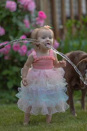Tatey Bear  meets the Water Hose