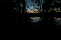 2018 Landscape