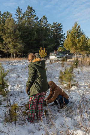 2024 Christmas Tree Hunt