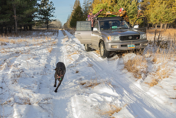 2024 Christmas Tree Hunt