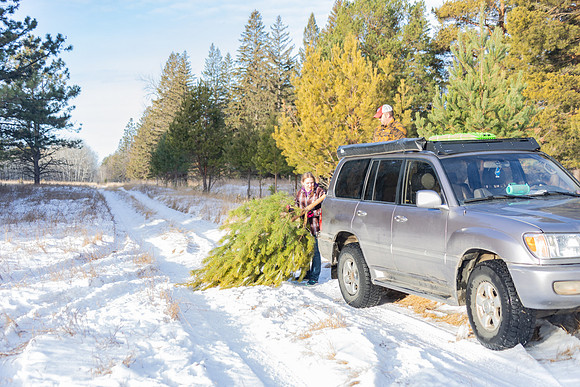 2024 Christmas Tree Hunt