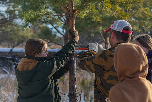 2024 Christmas Tree Hunt