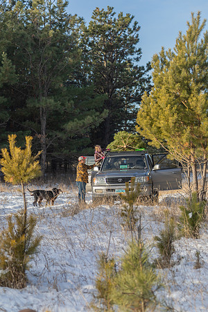 2024 Christmas Tree Hunt