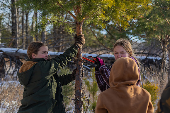 2024 Christmas Tree Hunt