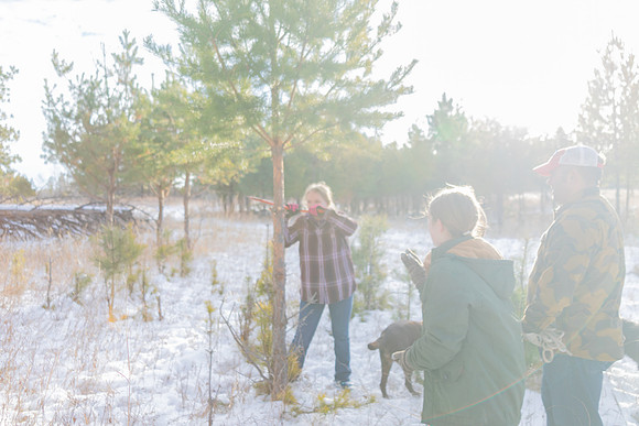 2024 Christmas Tree Hunt