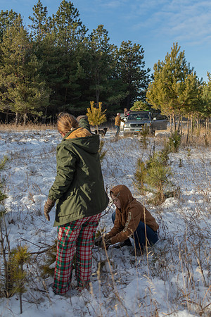 2024 Christmas Tree Hunt