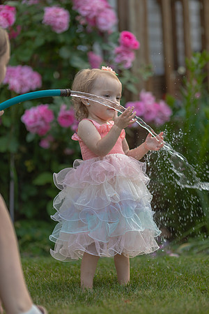 Tatey Bear  meets the Water Hose
