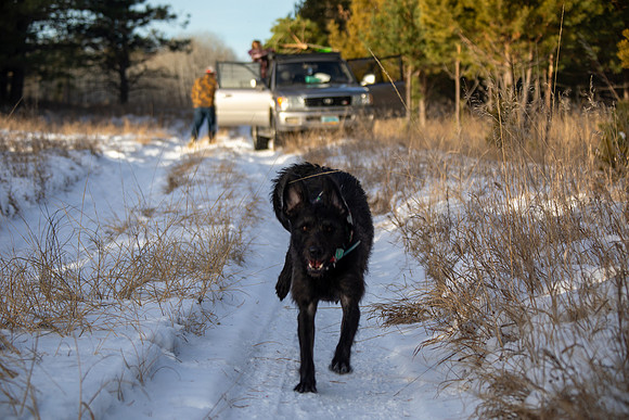 2024 Christmas Tree Hunt