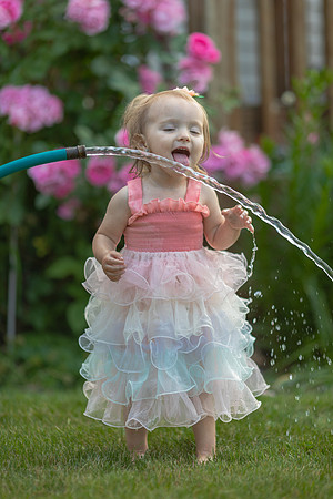 Tatey Bear  meets the Water Hose
