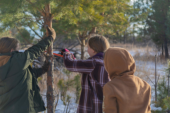 2024 Christmas Tree Hunt