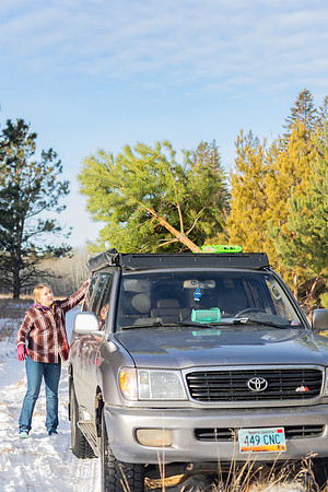 2024 Christmas Tree Hunt