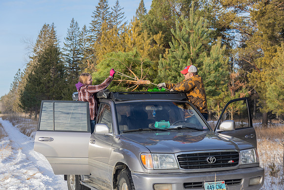 2024 Christmas Tree Hunt