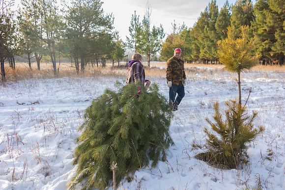2024 Christmas Tree Hunt
