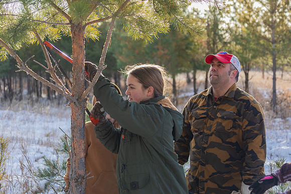 2024 Christmas Tree Hunt