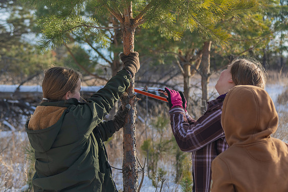 2024 Christmas Tree Hunt